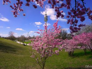 Olympiapark München