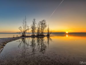 Spiegelung am Starnberger See