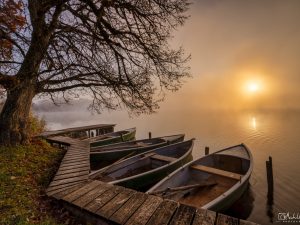 Weßlinger See bei Nebel
